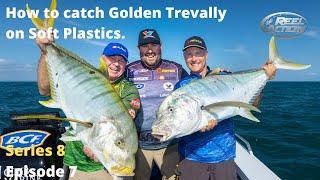 How to catch Golden Trevally on Soft Plastics.