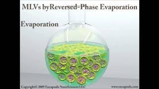 liposomes Introduction and Preparation #liposome  #viral #youtubeshorts