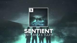 Mr FijiWiji & Tülpa - Sentient