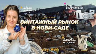 Винтажный рынок в Нови-Саде | обзор цен и покупок | Найлон Пиаца | влог #1