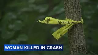 Driver sought after car strikes tree at Delaware park, killing passenger