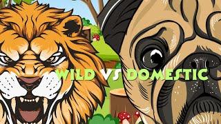 Wild vs. Domestic Animals: Learn the Differences for Kids 