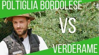 POLTIGLIA BORDOLESE O VERDERAME? COSA USARE? DIFFERENZE? USO STOCKER 15L | ORTO E GIARDINAGGIO