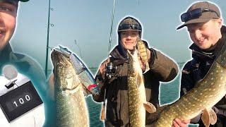 Best PIKE FISHING Of My Life! 100 Pike In One Day!? 