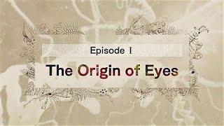 The Origin Of Eyes