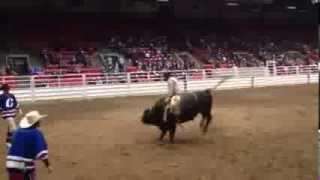 Ted Stovin 85 on Calgary Stampede's 868 Everything Cowboy