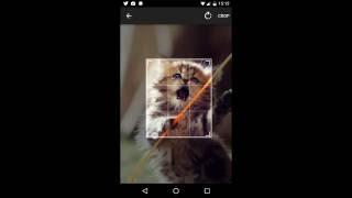 Android Image Cropper Demo