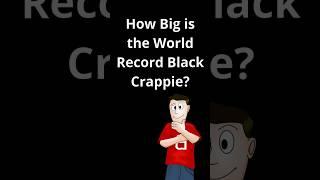 How big is the world record Black Crappie?