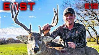 Giant Kansas Whitetail At 10 Yards, Wild Rut Action #deerhunting #hunting