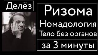 Ризома, Номадология, ТбО за 3 минуты