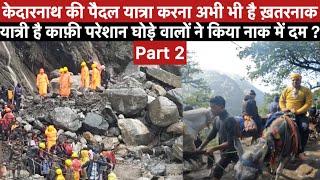 Kedarnath Yatra 2024 || Kedarnath Yatra Live Update Today || Kedarnath Yatra Update || Daily Updates