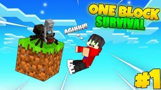 New Journey Begins Minecraft PE One Block Survival Part-1 [HINDI]