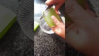 How to Make Jlovera Gel at Home | fresh alovera gel recipe #shorts #ytshorts #aloveragel