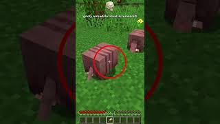 goofy ahh armadillo in minecraft 