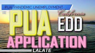 PUA Benefits Bombshell: How to Apply for PUA Benefits Payments:  Florida, Ohio, NY, CA EDD, Texas