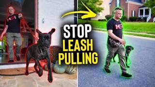 How To FIX Leash Pulling in UNDER 10 Minutes!