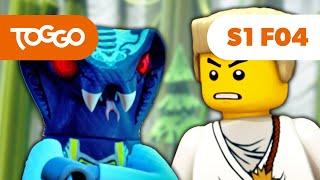 NINJAGO Deutsch | Traue niemals einer Schlange | S1 F04 | LEGO | Ganze Folge | TOGGO ​Serien