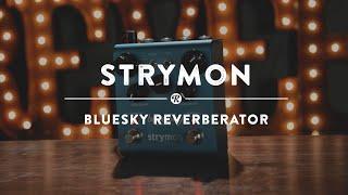 Strymon blueSky Reverberator | Reverb Demo Video