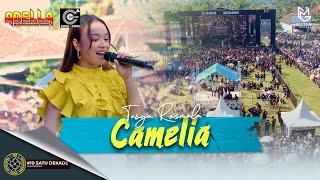 TASYA ROSMALA - CAMELIA (LIVE ADELLA X CUMI CUMI AUDIO) || LIVE PEMUDA PCB