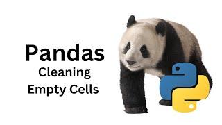 7 Pandas Cleaning Empty Cells