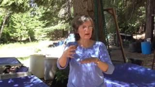 Elaine Ingham on Molasses in your Compost Tea? How to make Fungal Composts