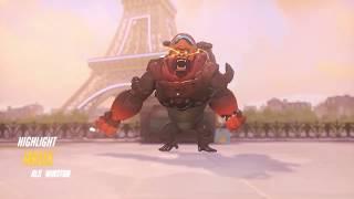 Aroks Winston Highlight