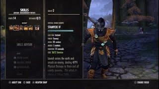 Eso - Vateshran 310.175k - Stam DK - solo build 18k pen - ascending Tide