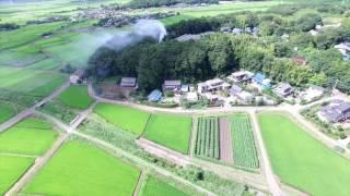 Japan Rice Fields - Summer