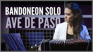  ARREGLO PARA BANDONEON SOLO | "Ave de paso" - AYELEN PAIS