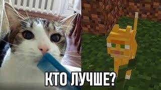 Кот из майнкрафта vs кот из реальной жизни