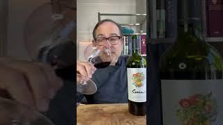 Gaia Mendoza Red Wine '20 91 Points #shorts (organic grapes) #shorts #redwine