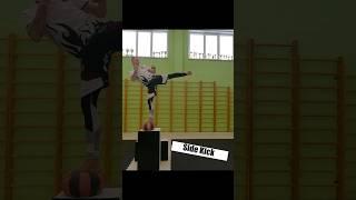 TAEKWONDO SIDE KICK #taekwondoitf #itftkd #тхэквондо #tutorial #itf #sidekick