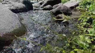 THE SOUND OF WATER FALLING ON ROCKS, NATURAL SOUNDS TO REFRESH THE MIND, ASMR