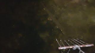 Подводная охота на щуку с ружьем ночью видео. Ловля щуки с лодки