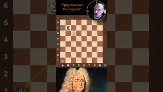 "Треугольник Филидора". Ферзь против ладьи. #chess #шахматы #эндшпиль