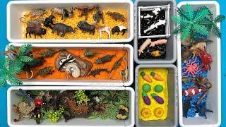 6 Type Small World Diorama For Kids - safari Ocean Farm Dinosaurs