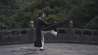 Wudang Tai Yi Wu Xing Quan - Five Elements - Master Chen Shiyu