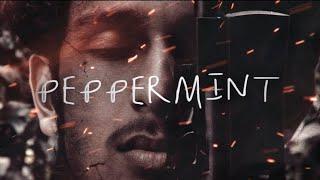 ಕಲಾವರಣ| Pepper mint- montage video song | R P ANUJITH | R P ABHIJITH| Sunken Sword Creations