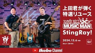 【MUSIC MAN】上田君が弾く特選リユースStingRay！｜IKEBE LIVE SHOPPING #95【イケシブリユース】