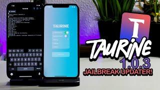 Taurine iOS 14 Jailbreak Update: JAILBREAK UPDATER! 1.0.3 New Feature & More Stability 14.3 - 14.0