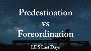 Predestination vs Foreordination