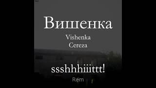 вишенка |Vishenka| - ssshhhiiittt! (sub español)