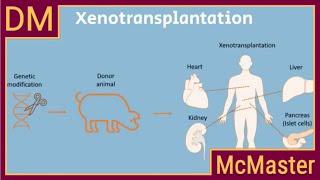 Demystifying Xenotransplantation: First Pig to Human Heart Transplant. Part 1