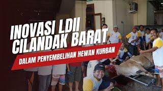 LDII TV : Inovasi LDII Cilandak Barat dalam Penyembelihan Hewan Kurban