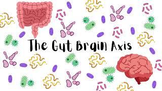 The Gut and Brain: A Surprising Connection