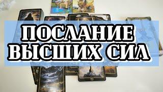 ПОСЛАНИЕ ВЫСШИХ СИЛ ДЛЯ ВАС @taro88833 #тароонлайн #таропослание #tarot