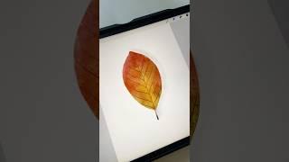 Watercolor Fall Leaf in @Procreate  #procreateart #procreatebrushes #procreatewatercolor #autumn