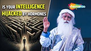 When Intelligence Hijacked By Hormones | Sadhguru On Sexual Desire