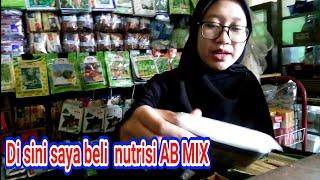 Di sinilah saya beli  nutrisi AB MIX, pupuk cair untuk tanaman hidroponik