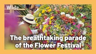 FLOWER FESTIVAL: the pride of the Silleteros | WIDE